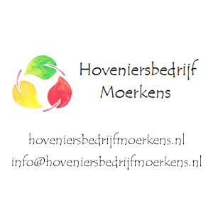 Moerkens